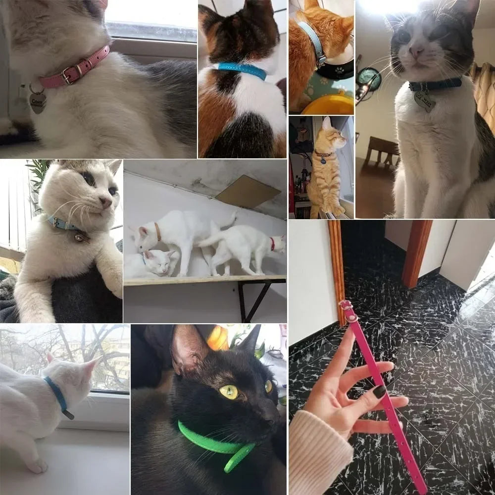 Spalvotas odinis antkaklis - šuniukams ir katėms
